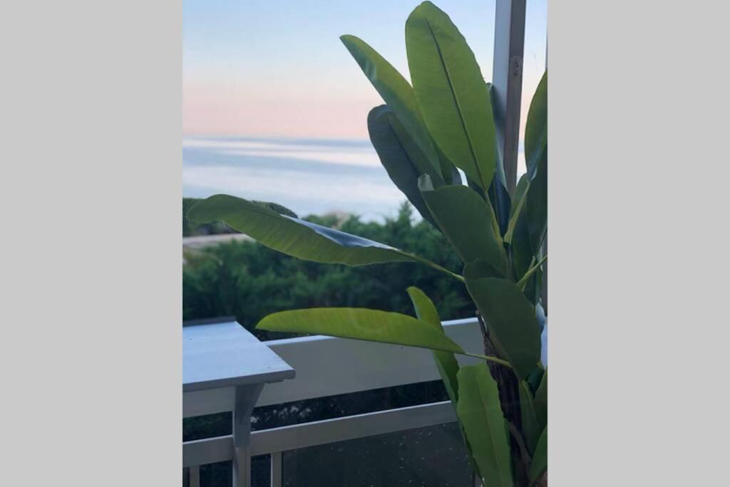 Charmant Studio Avec Terrasse Vue Mer A 50 M Sainte-Maxime Exterior photo